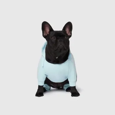 Canada Pooch Soft Side Sweatsuit Blue