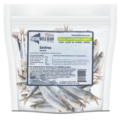 Iron Will Raw | Iron Will - Whole Sardines 1lb - Dog Treat