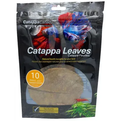 Catappa Leaves 10pk Small