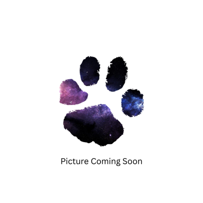 Urchin - Collector