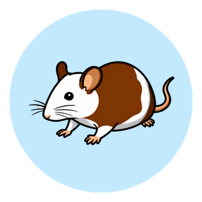 African Soft Fur Live Feeder