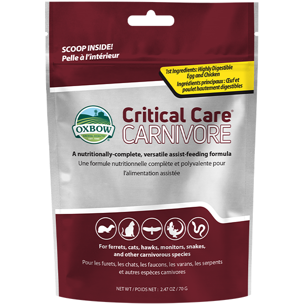 Oxbow Critical Care Carnivore 70g
