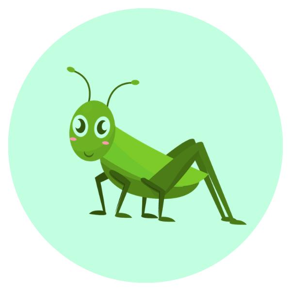 Bulk Live Crickets Every 2 Weeks