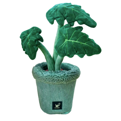 V-Pet Sniffing Mat  Monstera Dog Toy