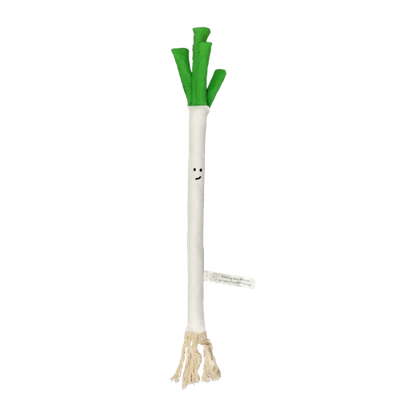 V-Pet Onion Dog Toy