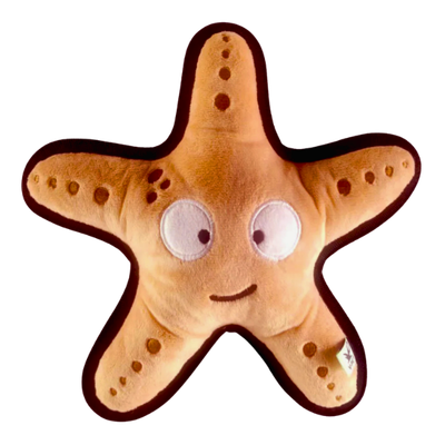 V-Pet Rough &amp; Tough  Starfish Dog Toy