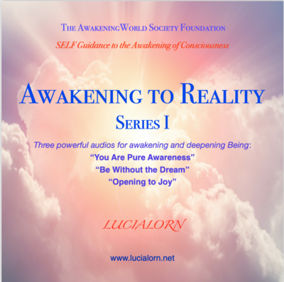 Awakening to Reality I