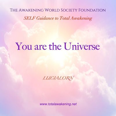 You are the Universe