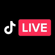 1000 Seguidores para TikTok