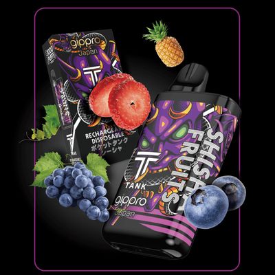 Gippro Tank Shisha Fruits 6000 Puffs Disposable