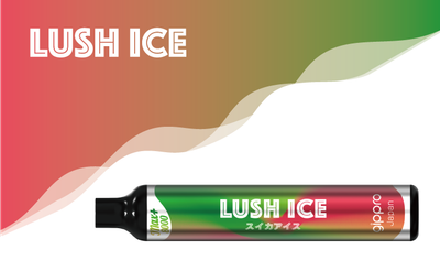 Gippro Max Lush Ice 8000 Puffs Disposable