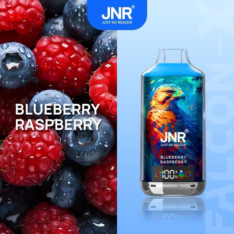 JNR FALCON- X 18000 Puffs Blueberry Raspberry