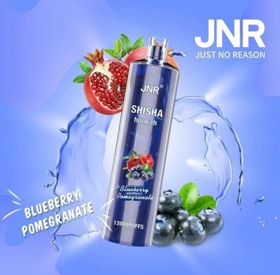 JNR Shisha Hookah 12000 Puffs Blueberry Pomegranate