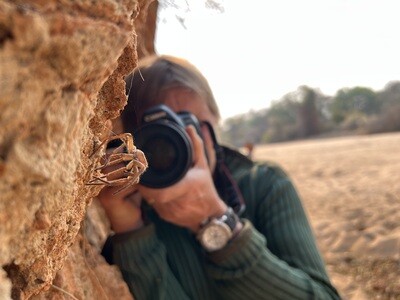 Photo Safaris