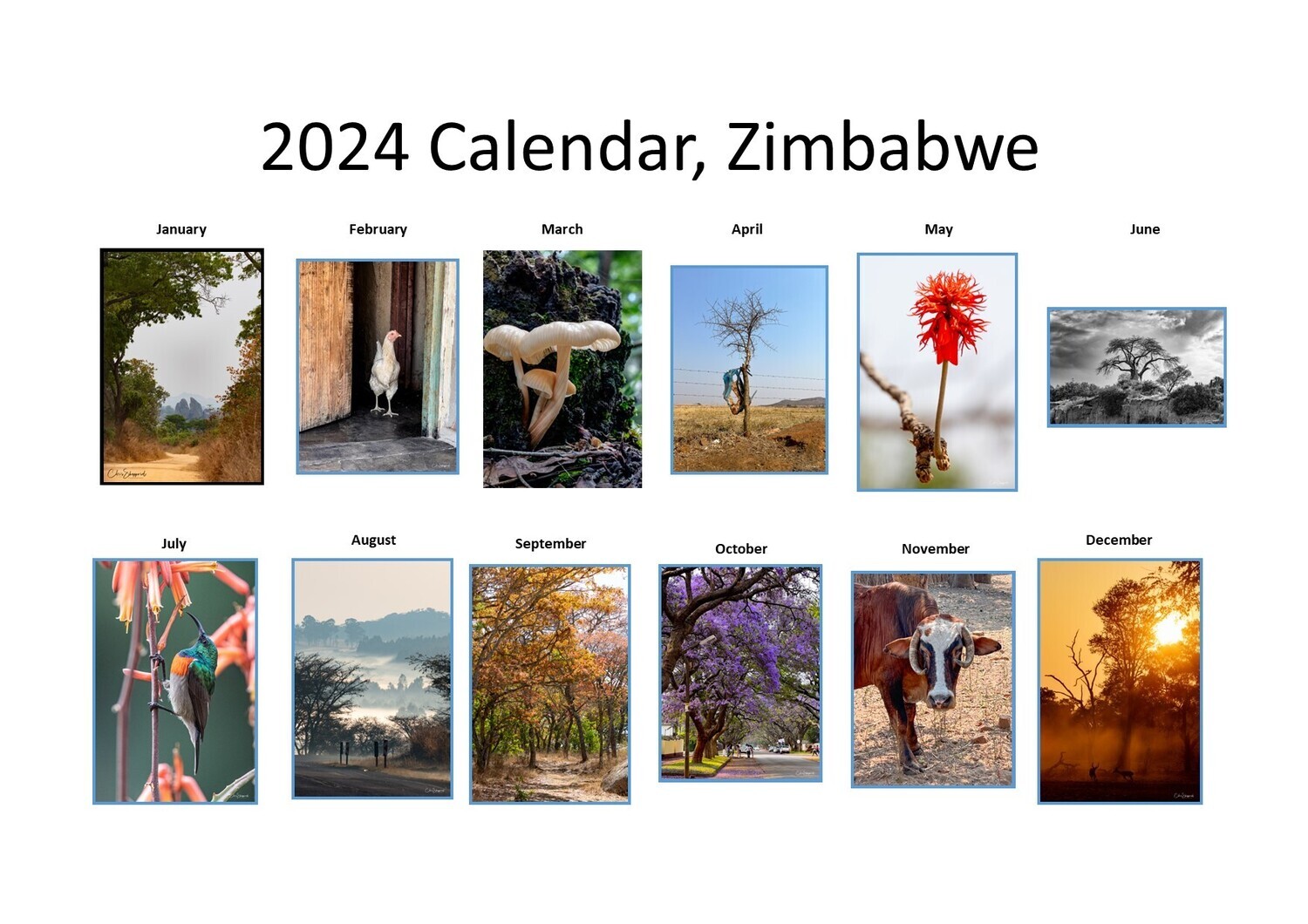 Calendar Zimbabwe 2024