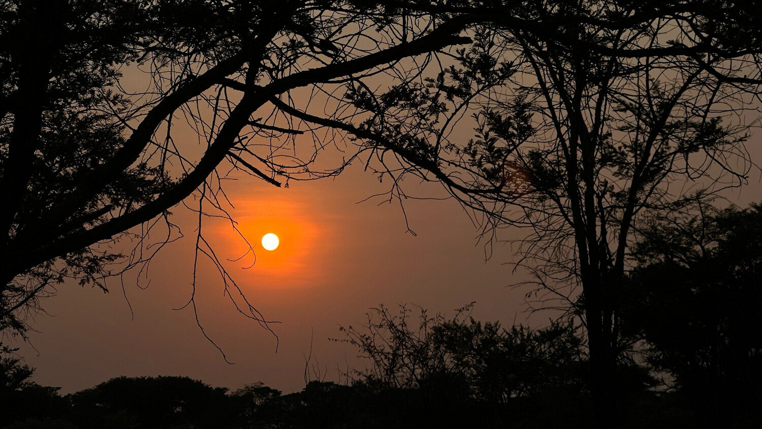 Sunrise - Image