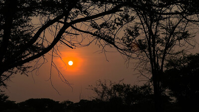 Sunrise - Image