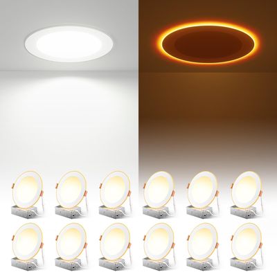 NEW 12 Dimmable LED Ceiling Light with Night Light