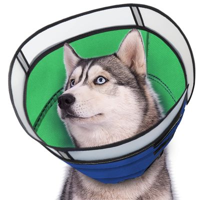 NEW Dog Cone Recovery Collar Large