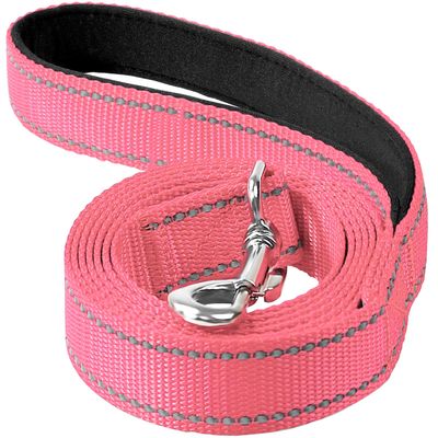 NEW 5ft Dog Leash - Reflective