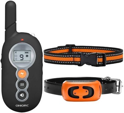 NEW Dog Training Collar with Remote