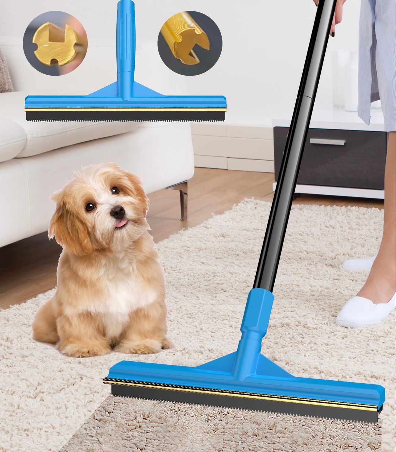 NEW Carpet Rake for Pet Hair Removal