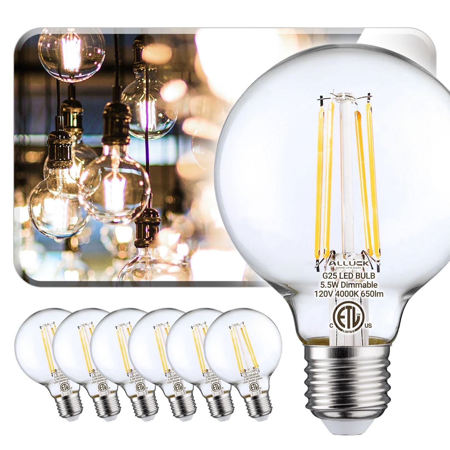 NEW 6 Pack G25 Dimmable LED Globe Light Bulbs