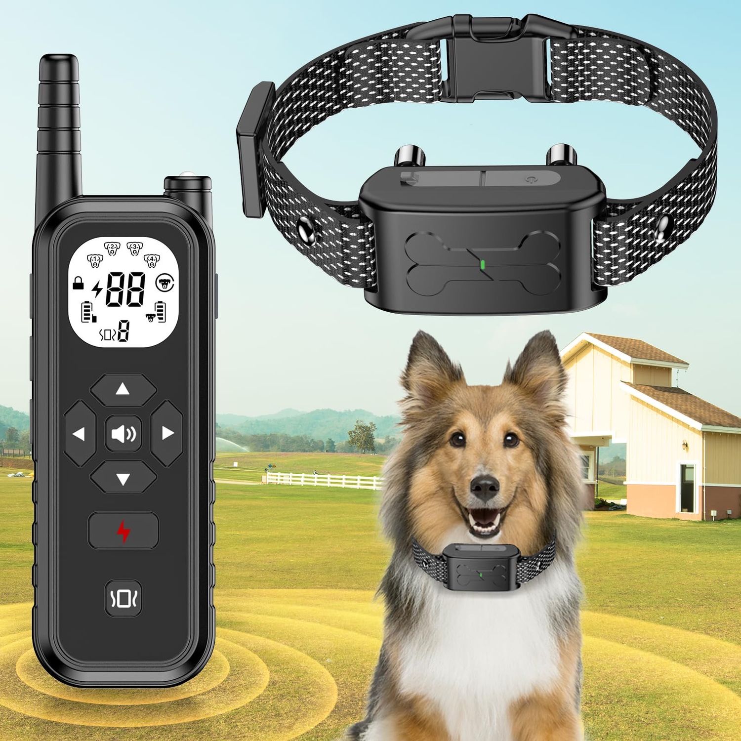 NEW Dog Training Collar with Remote