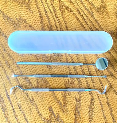 NEW 4pc Professional Metal Dental Cleaning Kit