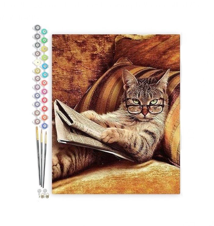 NEW Cat Paint By Numbers Canvas Print Kit