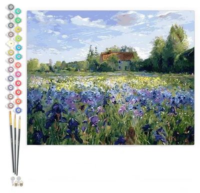 NEW Floral Field Paint By Numbers Canvas Print Kit