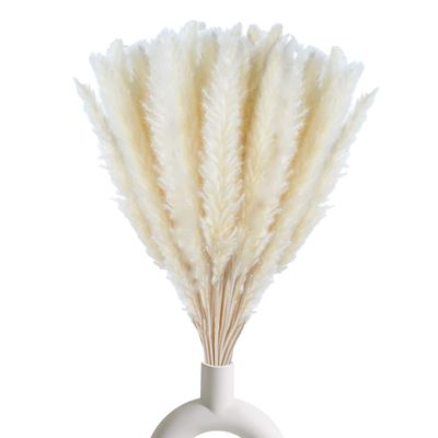 NEW Natural Dried White Pampas Grass Decor