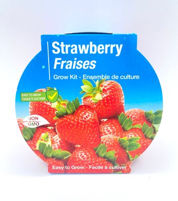 NEW Strawberry Grow Kit - Easy to Grow