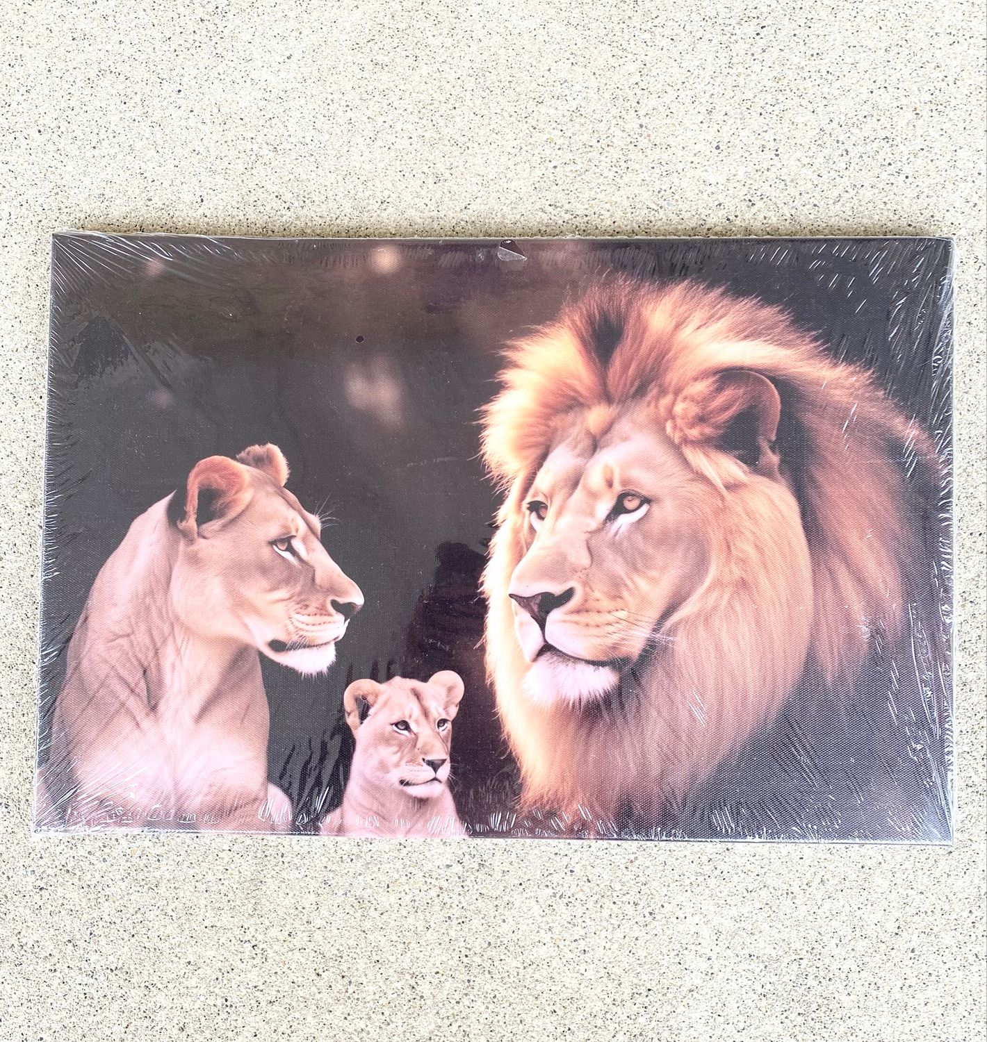 NEW Lion Lioness Cub Animal Family Canvas Picture Print