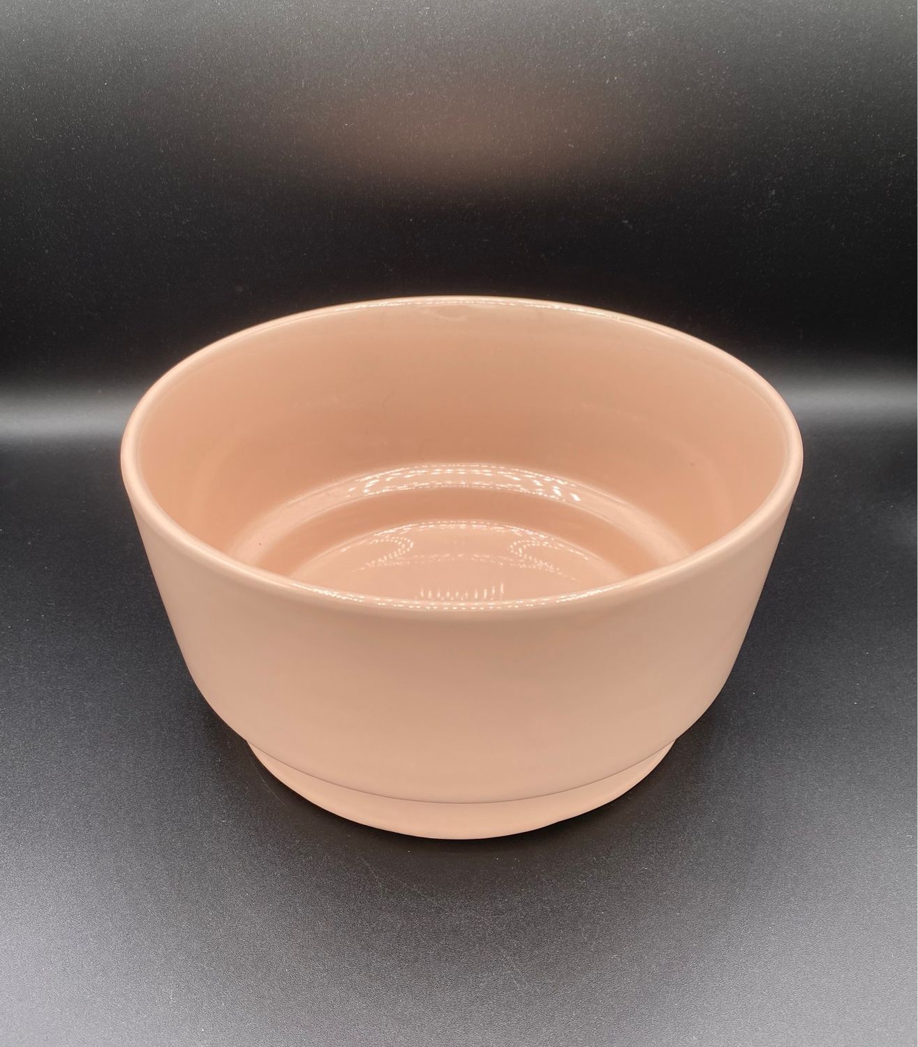 NEW Large Ceramic Dog Bowl