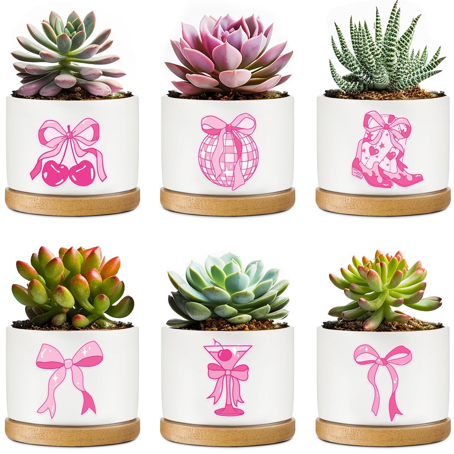 NEW 6 Pack Ceramic Planter Pots with Bamboo Saucers