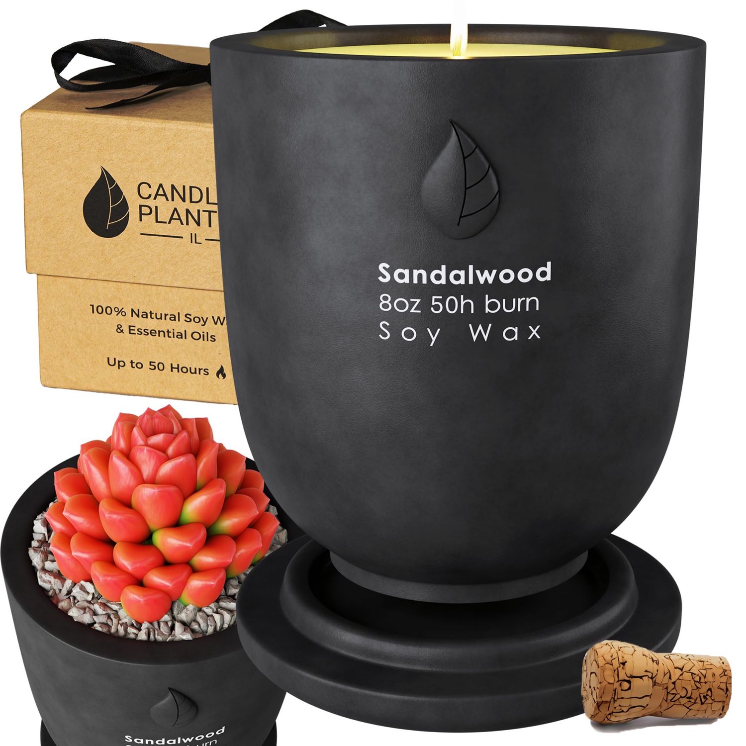 NEW Dual Purpose Soy Candle &amp; Planter Jar Black Sandalwood