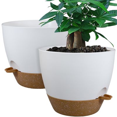 NEW 2 Pack Self Watering Planter Pots NEW 2 Pack Self Watering Planter Pots