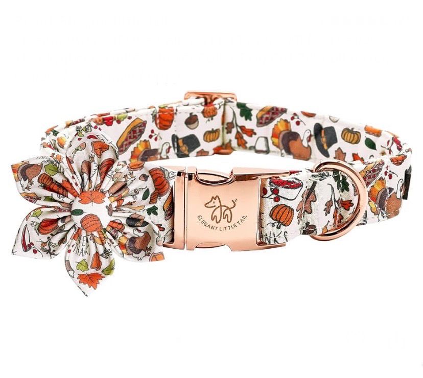 NEW Thanksgiving / Fall Decorative Dog Collar Large