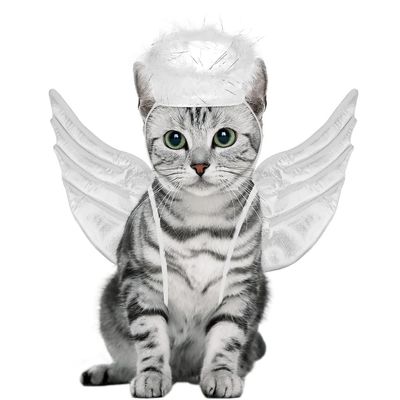 NEW Cat Halloween Costume Angel Wings &amp; Halo
