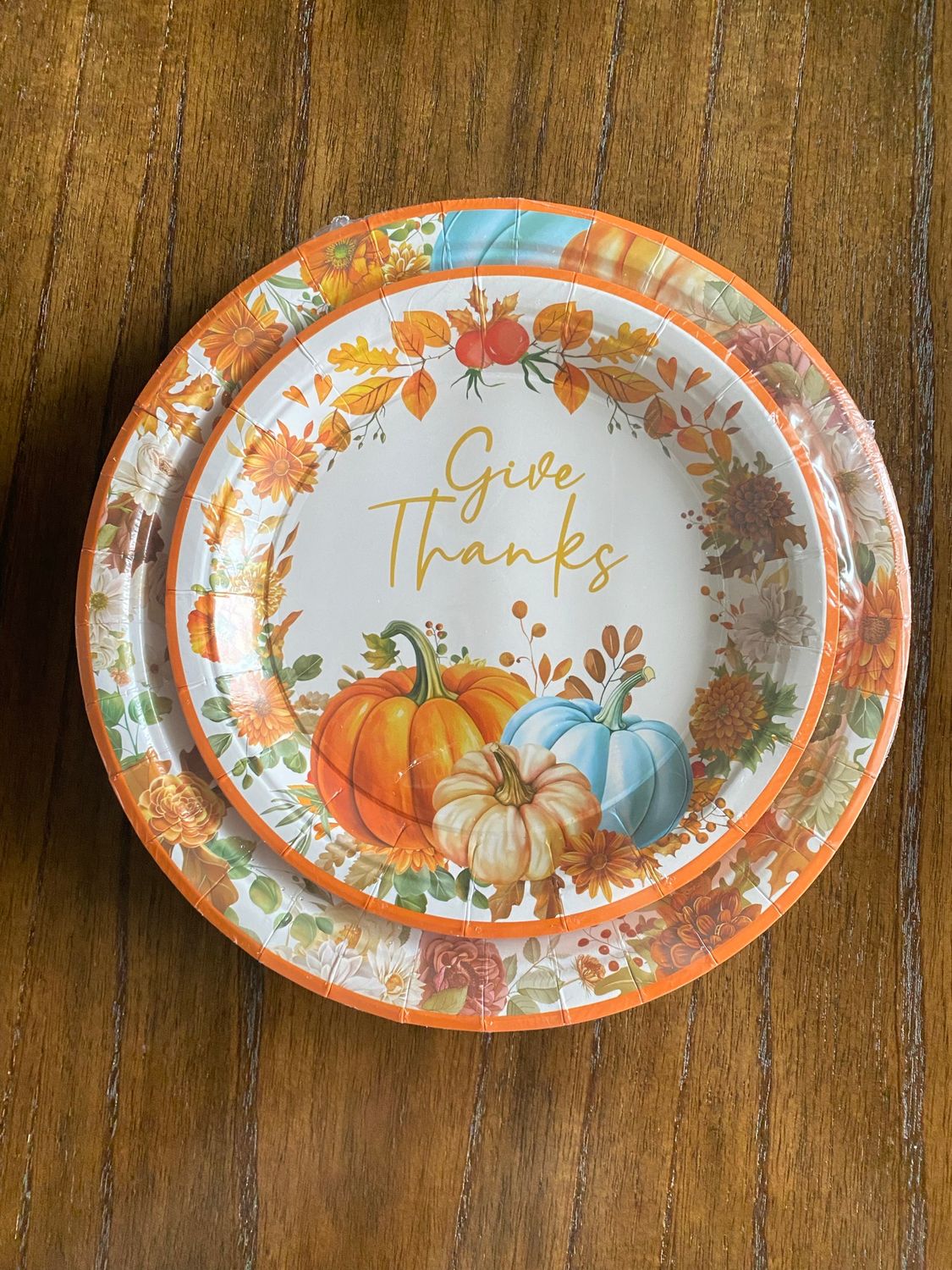 SEALED 24 Pack Thanksgiving Paper Dinner Plates