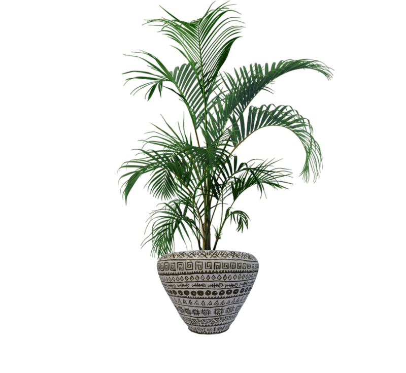 HP1009 Terracotta pot