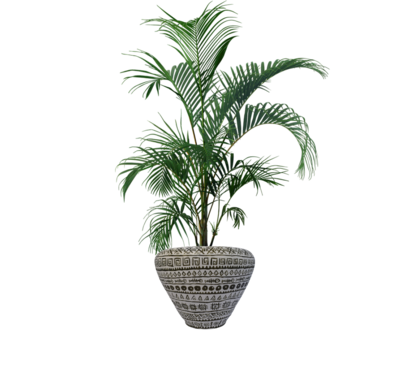 HP1009 Terracotta pot
