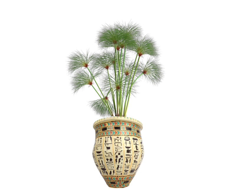 HP1016 Terracotta pot