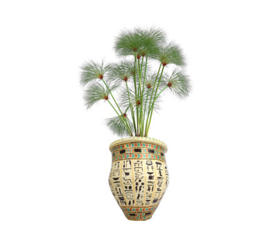 HP1016 Terracotta pot