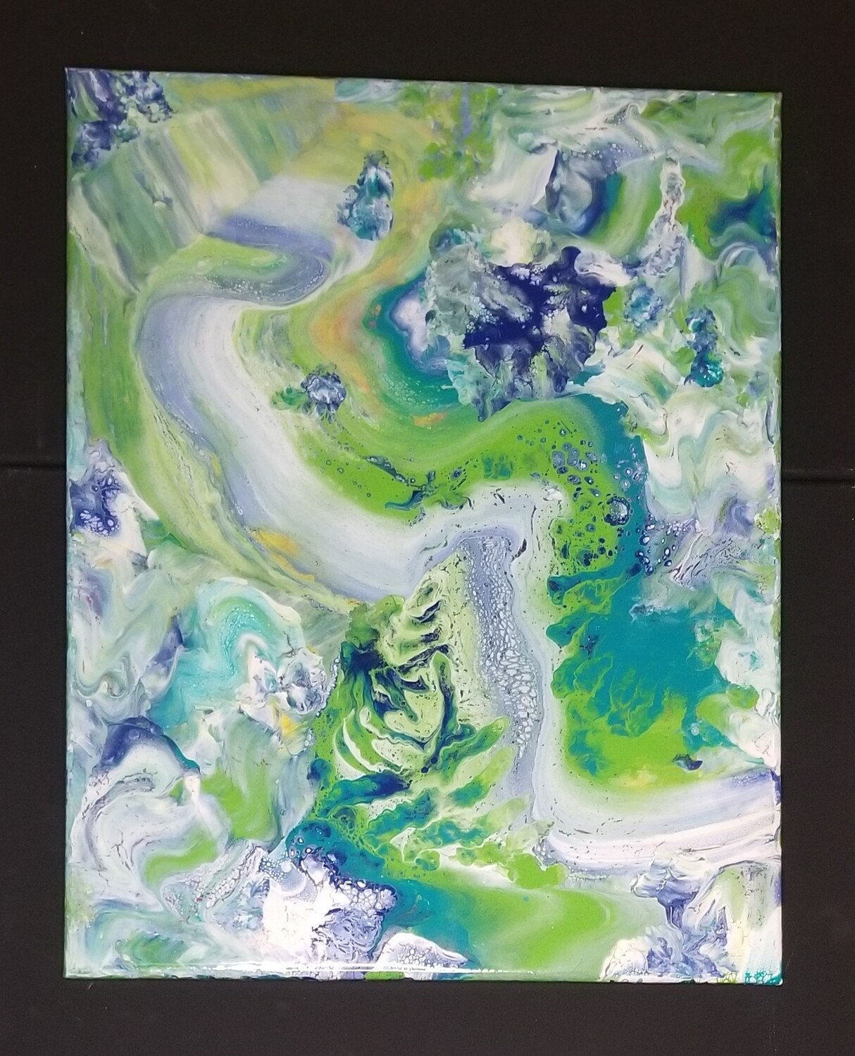 Rainforest Race