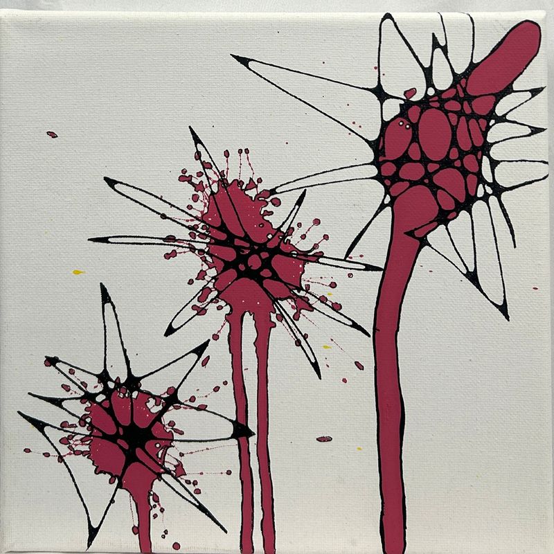 Cranberry Bursts