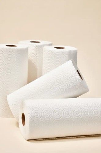 Reel Premium 100% Recycled Paper Towels Case of 12