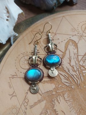 Fish bone labradorite earrings 