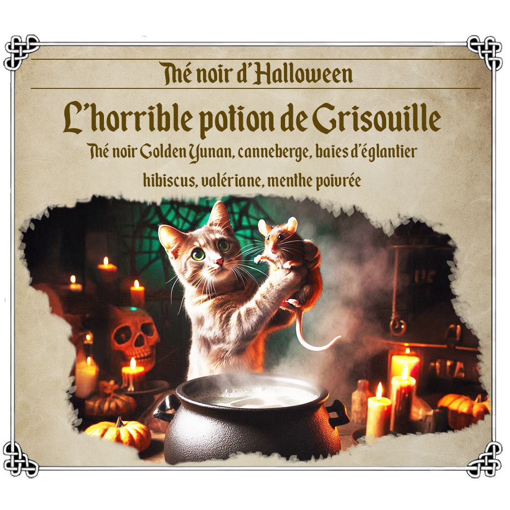 L&#39;horrible potion de Grisouille